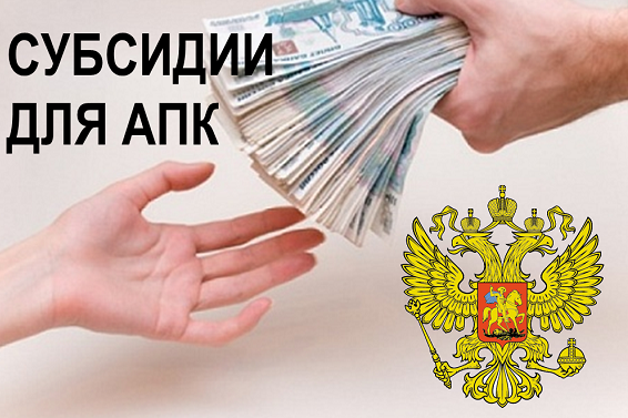 Краткосрочные кредиты переработчикам молока