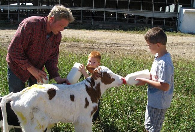 Семейные фермы на острие молочного фронта